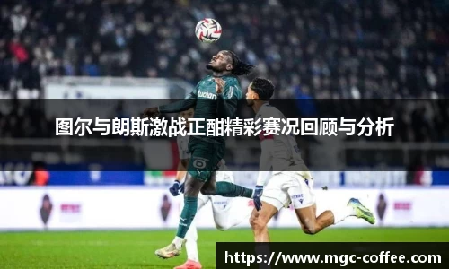 im电竞官网