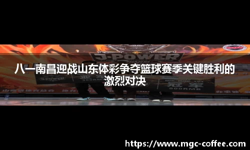 im电竞官网
