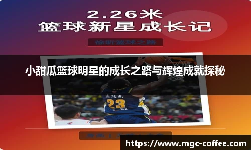 小甜瓜篮球明星的成长之路与辉煌成就探秘